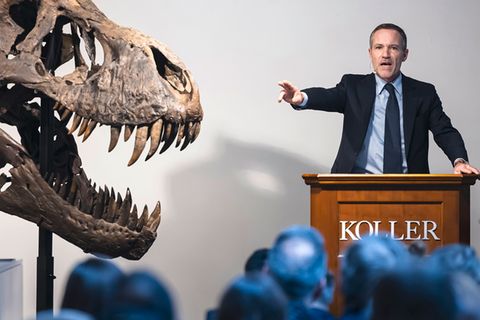 In Zürich wurde ein 66 Millionen Jahre altes T. Rex-Skelett für über 5,5 Millionen Euro versteigert