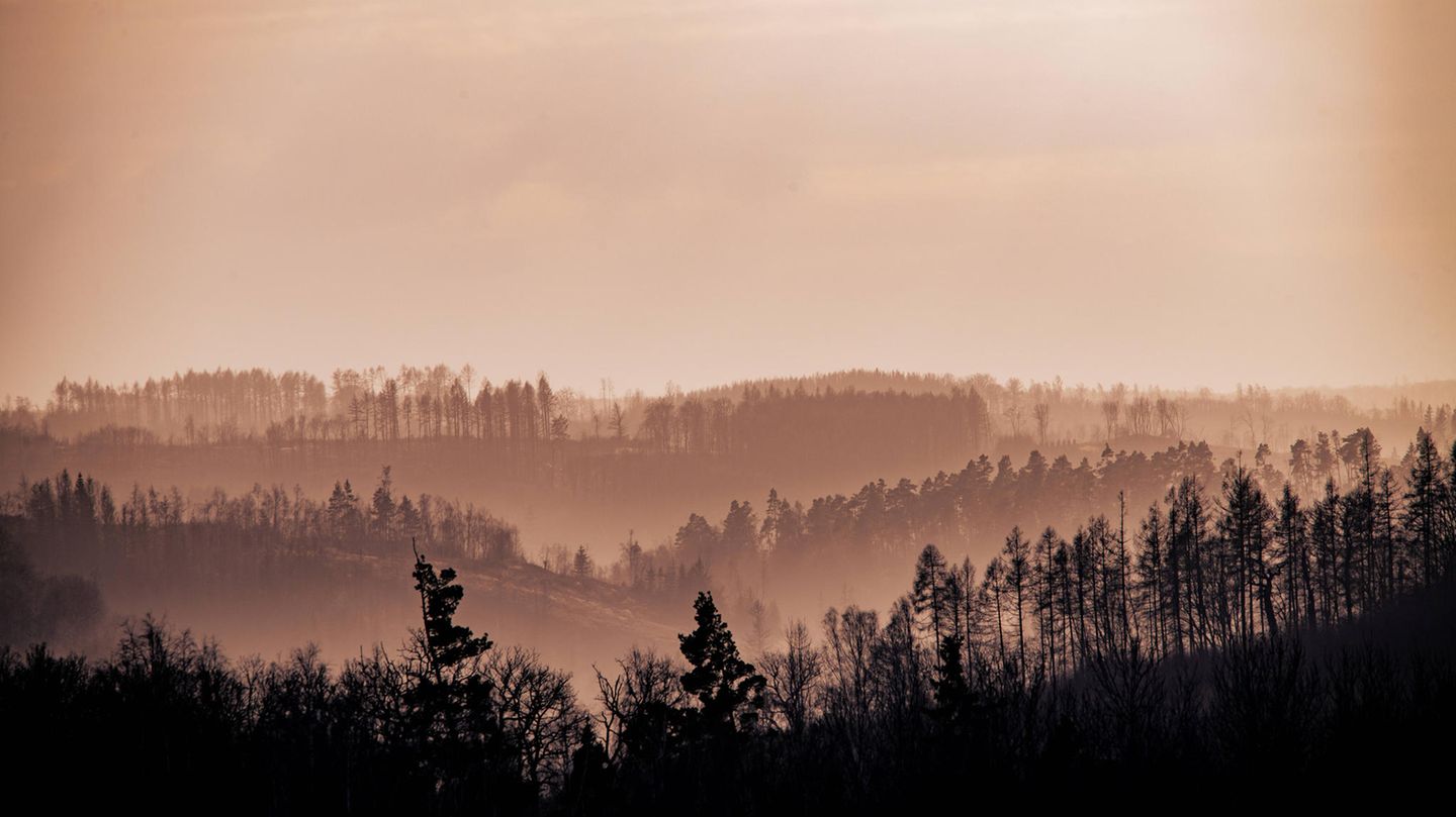 Blick von der Köthener Hütte