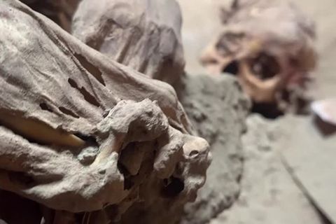 Ausgrabungsstätte in Peru: Getötet in Opferritual: Mehr als 1000 Jahre alte Mumie entdeckt
