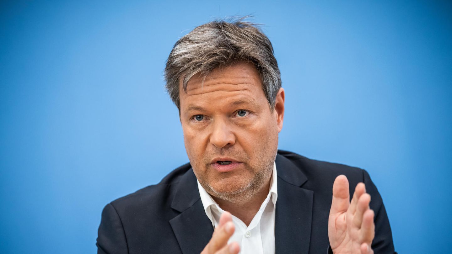 US-Konzern kauft Viessmann-Sparte – Habeck will Milliarden-Deal prüfen, Grüne kontert Kritik