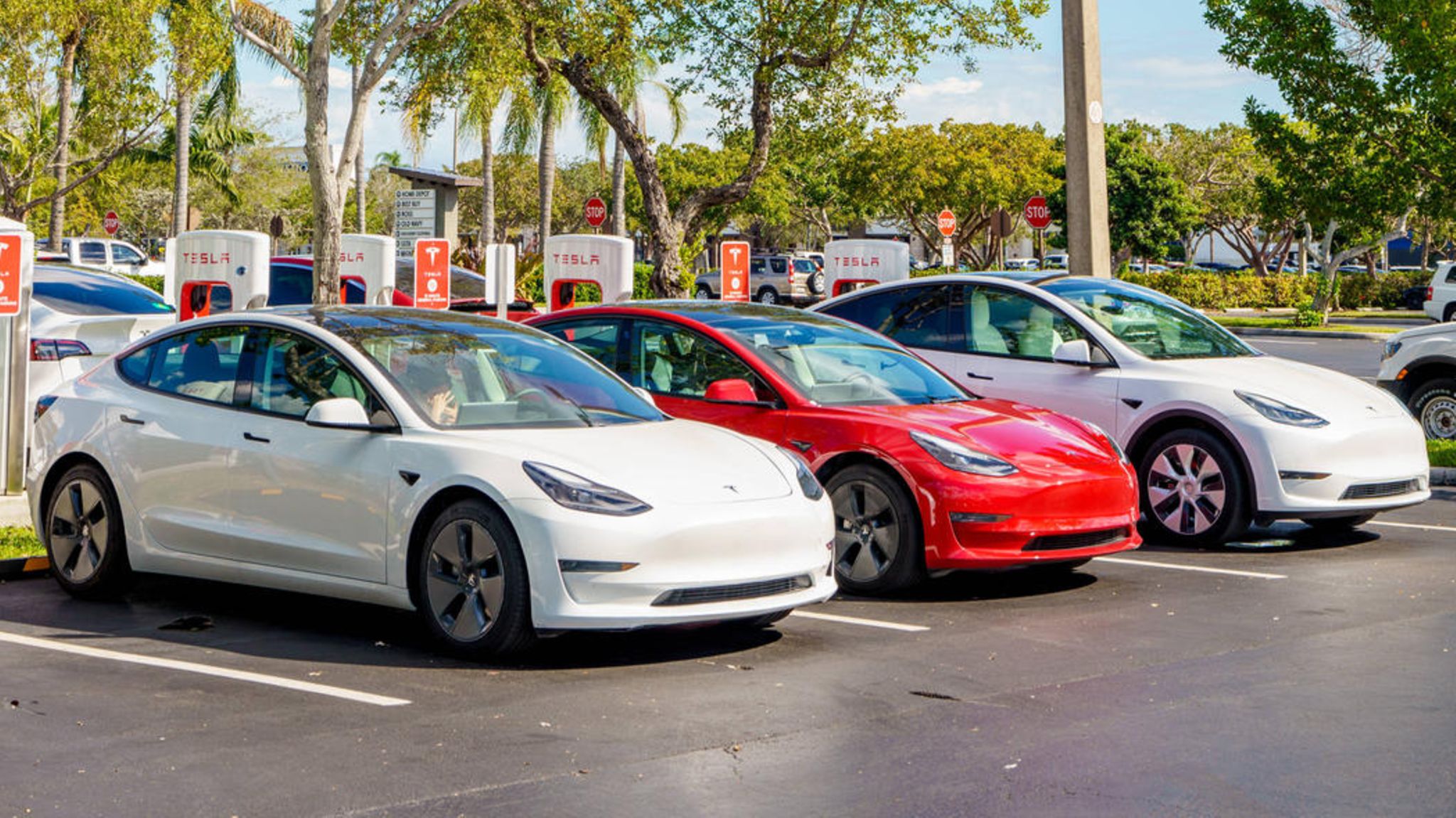 Tesla-Fahrer enttäuscht von Musks Billig-Einparkhilfe