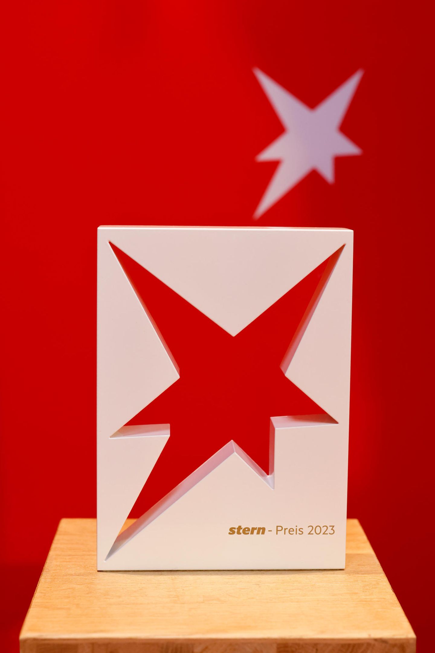 STERN-Preis