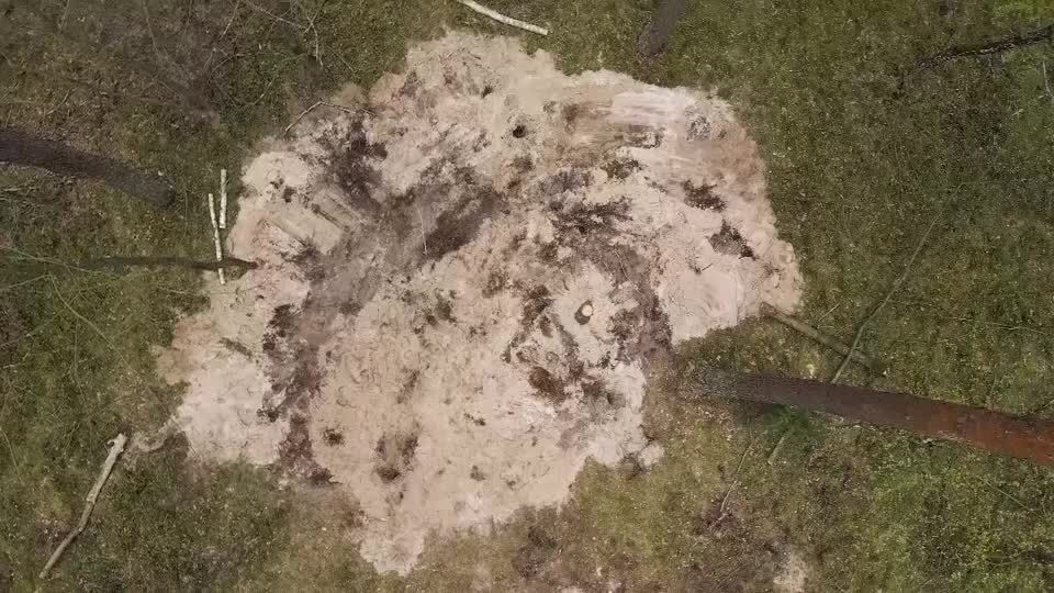 Video: Klärungsbedarf nach Fund eines "militärischen Flugobjekts" in Polen