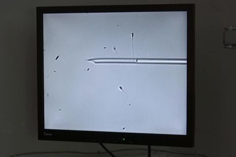 Video: Niederländer darf kein Sperma mehr spenden