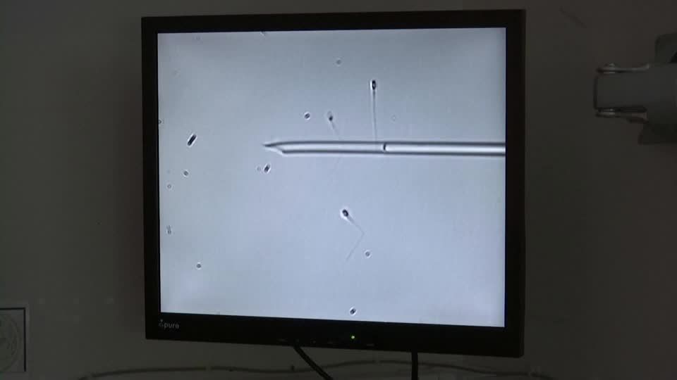 Video: Niederländer darf kein Sperma mehr spenden