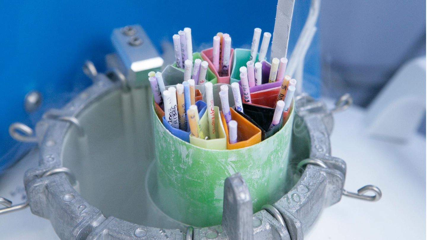 Gefrorene Spermien in einer Samenbank