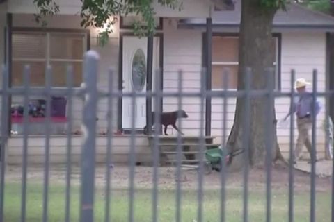 Video: Mann erschießt fünf Nachbarn in Texas