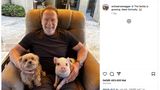 30. April 2023  Arnold Schwarzenegger sendet schweinische Grüße via Instagram – und begrüßt neues Familienmitglied  Glücklich lächelt Arnold Schwarzenegger in die Kamera und sitzt in einem gemütlichen Sessel, im Hintergrund ist eine gepflasterte Terrasse zu sehen. Auf seinem Schoß kuscheln Hund Cherry und Schweinchen Schnelly. Damit wächst der kleine Bauernhof des "Terminator"-Darstellers weiter. Der ehemalige Bodybuilder hat schon Esel Lulu und Mini-Pferd Whiskey bei sich. Auf Instagram gefällt das Posting bereits mehr als 400.000 Fans. Seine Fans zeigen sich begeistert, einige nehmen es auch humorvoll. So kommentiert ein Follower: "Sie hat deine Augen." Mit 75 Jahren ist Schwarzenegger also nochmal Schweinchen-Papa geworden. Das bringt sicher Glück. 