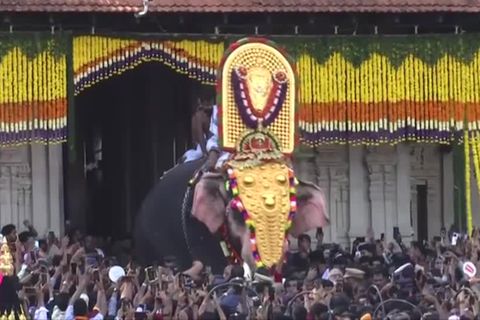 Video: Thrissur Puram: Farbenfrohes Elefantenfest in Indien
