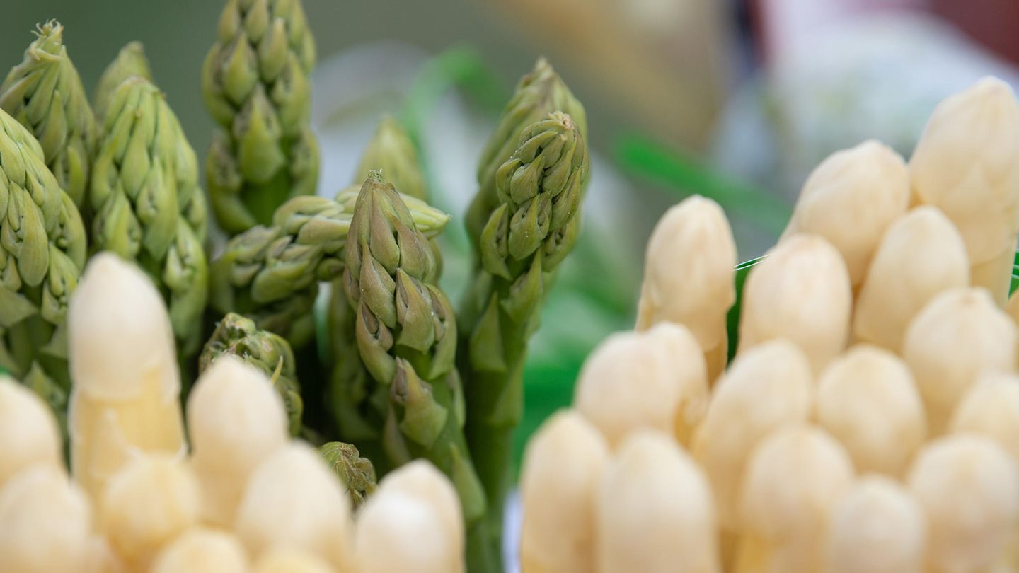 Grüner und weißer Spargel