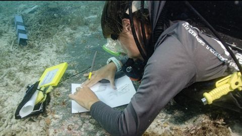 Tauchender Forscher, der unter Wasser etwas untersucht