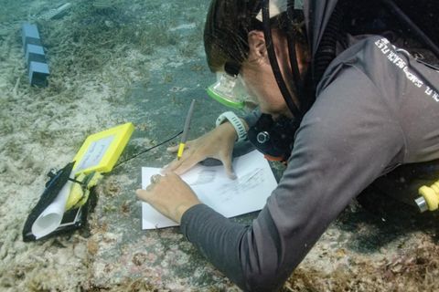 Tauchender Forscher, der unter Wasser etwas untersucht