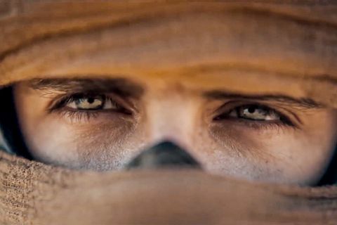 Rachedurst,  neue Gesichter ein Sandwurm-Ritt – "Dune 2" im bildgewaltigen Trailer