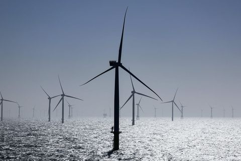 Ein Offshore-Windpark in der Nordsee
