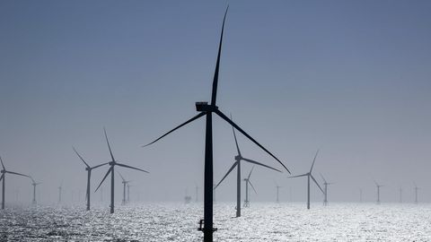 Ein Offshore-Windpark in der Nordsee