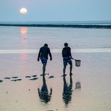 Wattenmeer Norddeich