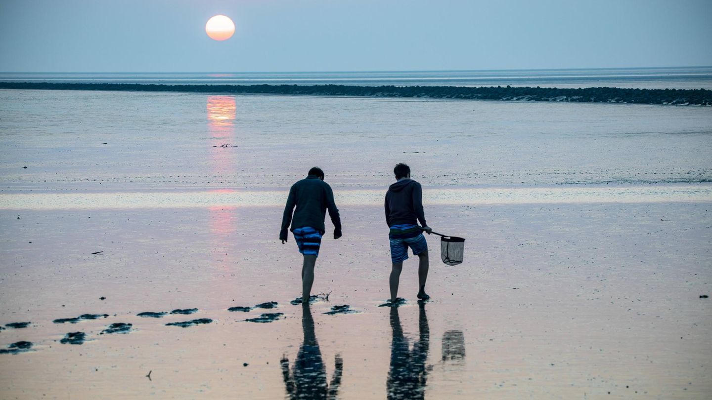 Wattenmeer Norddeich Wattenmeer Norddeich