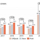 E-Lkws Berylls Steffen Stumpp