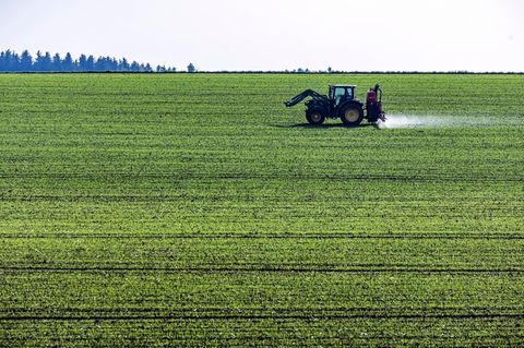 Ein Landwirt bringt mit seinem Traktor Düngemittel auf einem Feld aus
