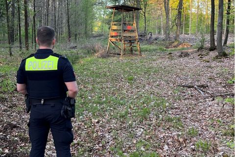 Tatort: der Schaumburger Wald zwischen Meinsen und Cammer