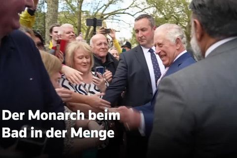 Video: Auf Tuchfühlung mit dem König