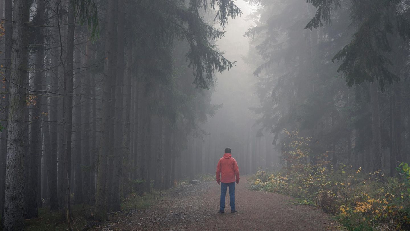 Mann steht in nebligen Wald mit hohen Nadelbäumen