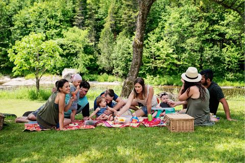 Millennials Familien mit einem Picknick im Freien im Sommer