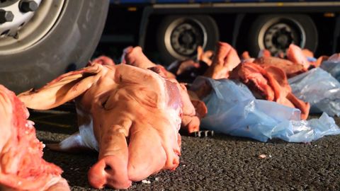 Ein mit Schweineköpfen beladener Lastwagen ist auf der A27 verunglückt