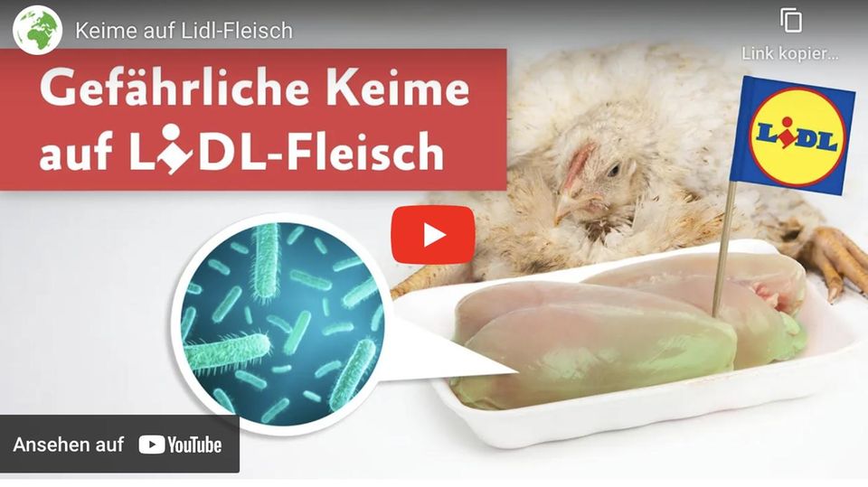 Ein Lidl-Fähnchen steckt in einem Stück Fleisch als Vorspannbild eines Videos