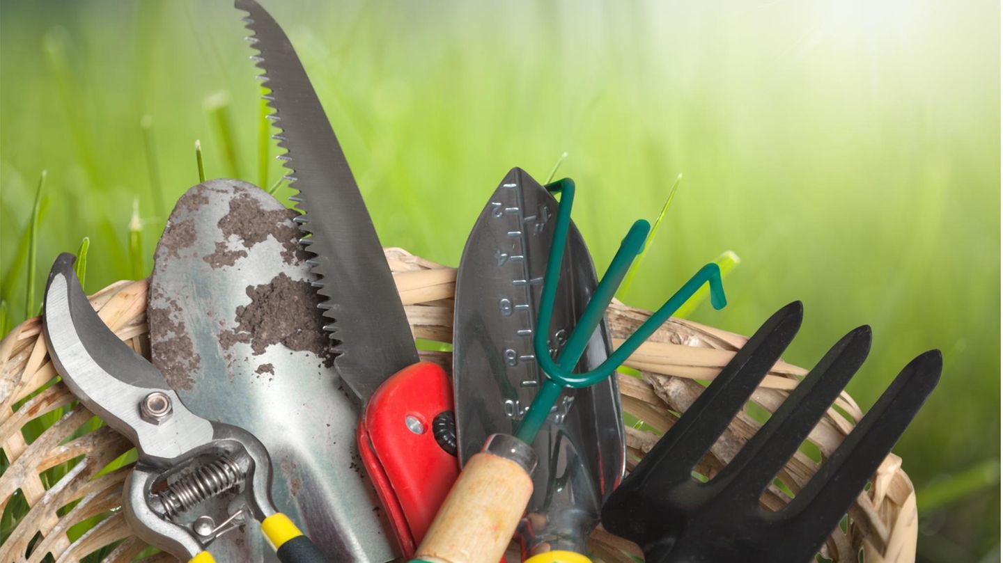Gartenarbeit: Hacken, schneiden, pflegen: Sechs Gartenwerkzeug-Sets im Vergleich