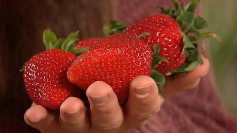 Das passiert im Körper, wenn Sie jeden Tag Erdbeeren essen