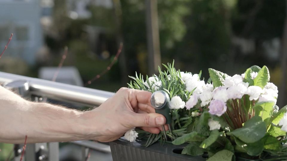 Die besten Apps und Gadgets für Garten-Fans – auch ohne grünen Daumen