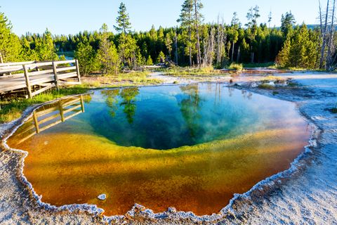 Yellowstone-Park: Touristen haben einzigartiges Naturwunder zerstört