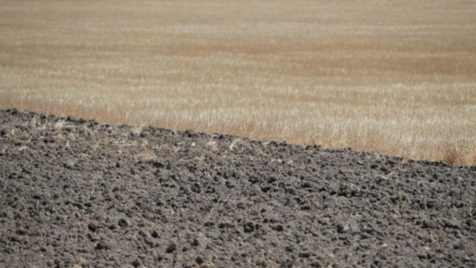 Im Süden Spaniens sind zahlreiche Felder vertrocknet