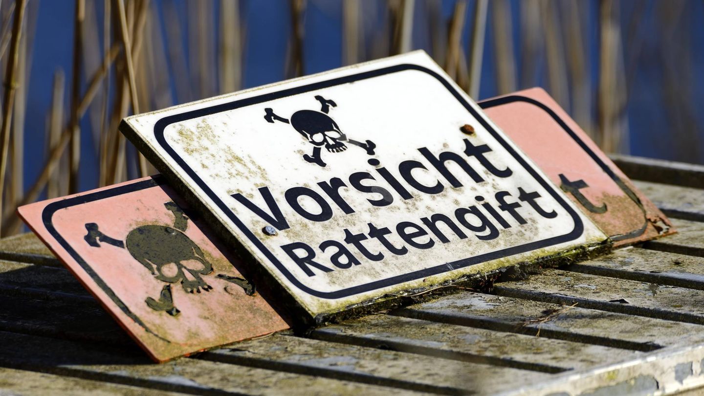 Der Musiker soll Rattengift mit den Wirkstoff Brodifacoum genutzt haben