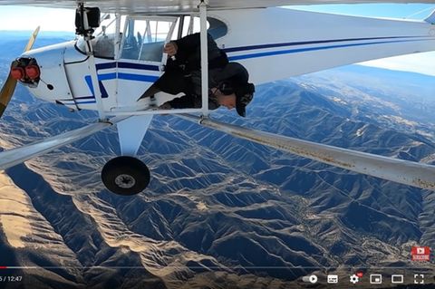 Trevor Jacob springt aus seinem Flugzeug und lässt sich dabei von vorab installierten Kameras filmen