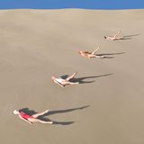 Wie ein Fisch auf dem trockenen