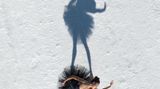 New York City Ballet