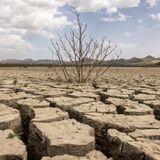 "Reiseführer zu den Wüsten Italiens": Trockener Boden mit großen Rissen