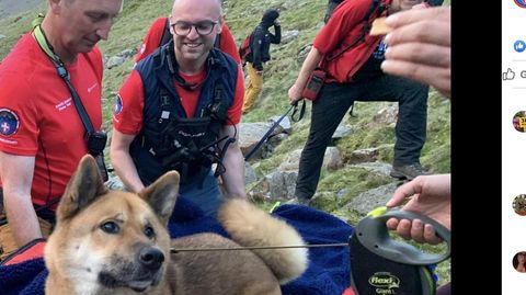 Hund Rocky nach der Rettung von Englands höchstem Berg