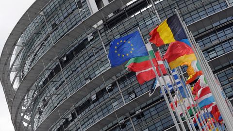 Die Flaggen der EU und ihrer Mitgliedsstaaten wehen vor dem Parlamentsgebäude in Straßburg