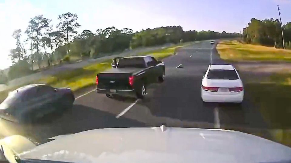 Extrem langsamer "Wildwechsel": Schildkröte löst Massenkarambolage in Florida aus Extrem langsamer "Wildwechsel": Schildkröte löst Massenkarambolage in Florida aus