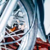 7 Katze Bangkok Nikita Teryoshin