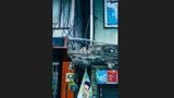 8 Katze Bangkok Nikita Teryoshin