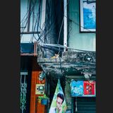 8 Katze Bangkok Nikita Teryoshin