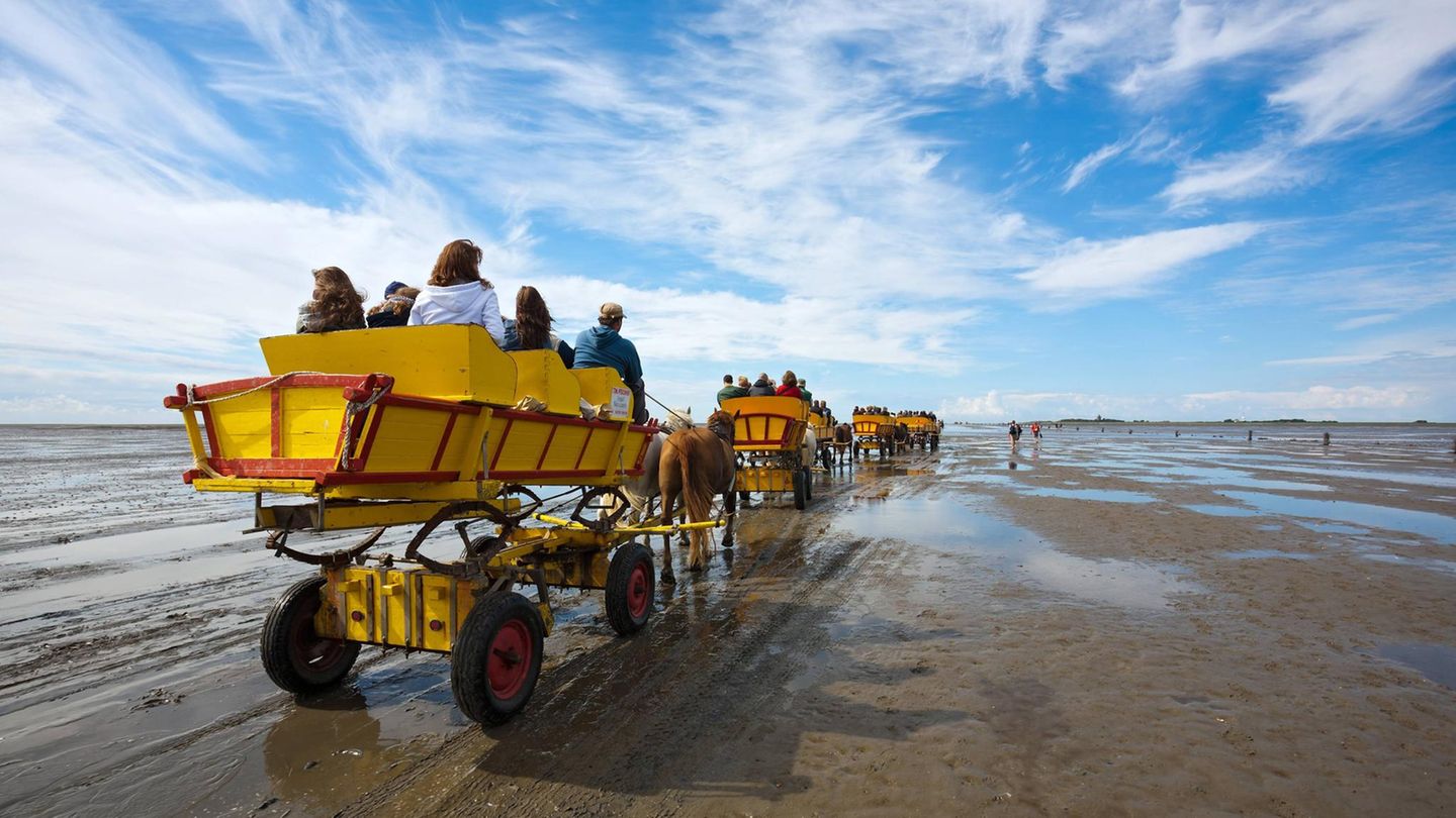 Familienurlaub: Das Sind Die Zehn Beliebtesten Urlaubsorte An Nord- Und ...