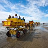 Kutschenfahrt bei Ebbe