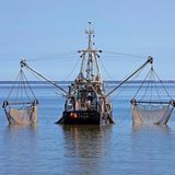 Krabbenkutter bei Büsum