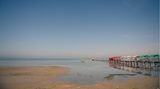 Kaspisches Meer  Dieser Steg in Bandar-e Gaz im Norden des Irans steht fast auf dem Trockenen. Der Hafen der Stadt, der früher dem Transport von Fracht und Passagieren diente, ist längst unbenutzbar geworden.