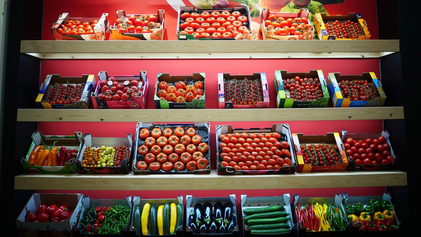 Tomaten, Gurken, Paprika Lebensmittel: Tomaten, Gurken, Paprika
